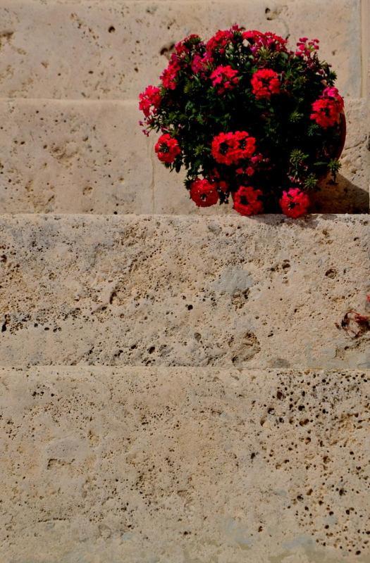 מונטפרנדונה B&B Casale Fonte Vecchia מראה חיצוני תמונה