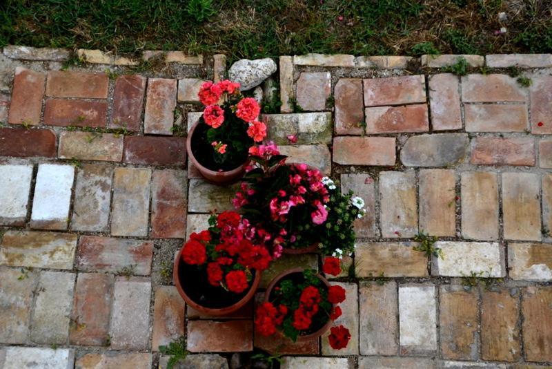 מונטפרנדונה B&B Casale Fonte Vecchia מראה חיצוני תמונה